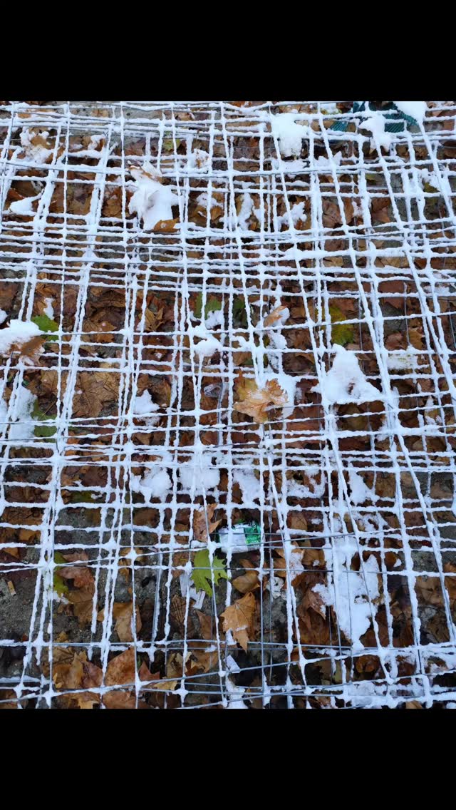 Qué poquita nieve vemos x aquí 😍😍😍