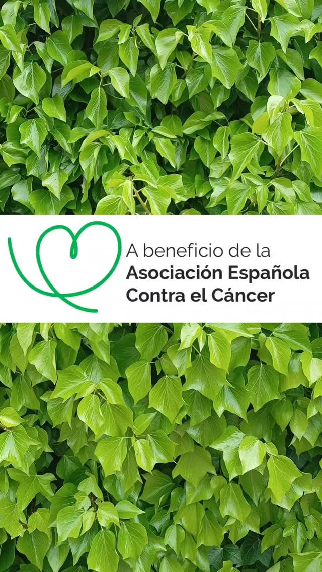 NOTICIAS !!! Retomamos colaboración con la Asociación Española Contra el Cáncer (AECC)♥️♥️♥️
Con cada prenda de protección solar UPF50+ que vendamos aportamos 4€ a la AECC. Nuestro pequeño granito para colaborar con algo tan importante. Agradecidos y contentos de reanudar está colaboración 💚💚💚

#proteccionsolarupf50plus #proteccionsolarcontraelcancer #proteccionsolarradioterapia #maximaproteccionsolarcertificada #upf50pluscertificsda