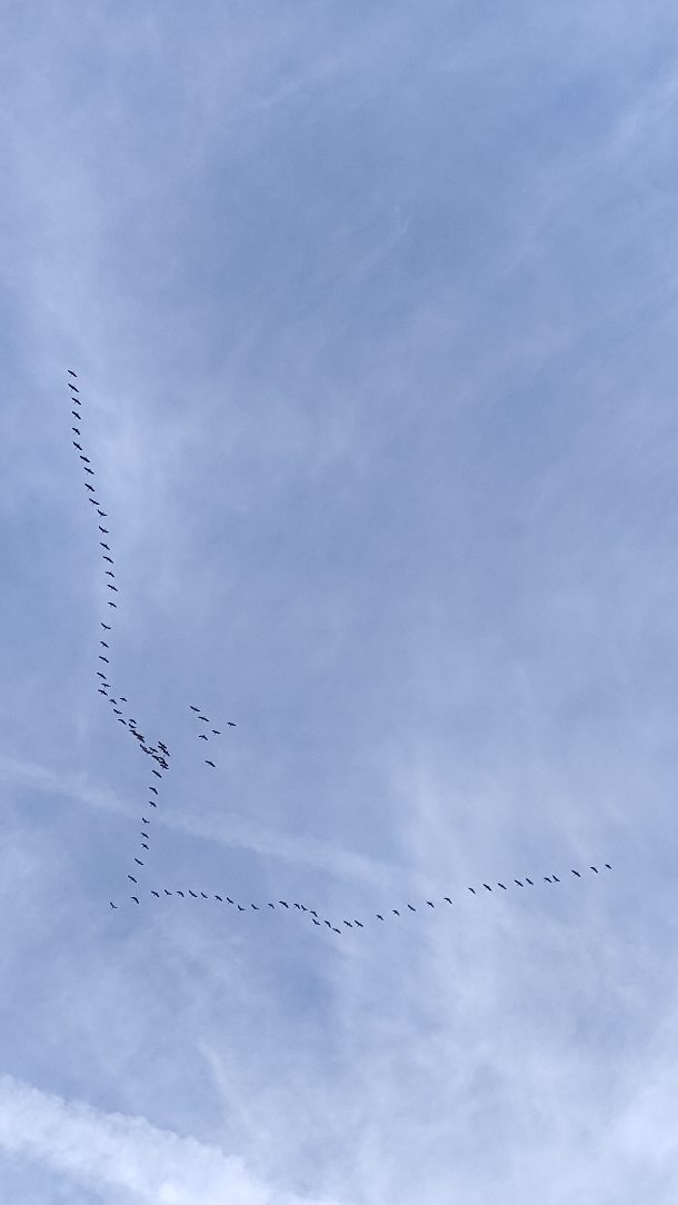 Momentos que te regala la naturaleza 😊 
Buen viaje, que lleguéis bien ♥️♥️